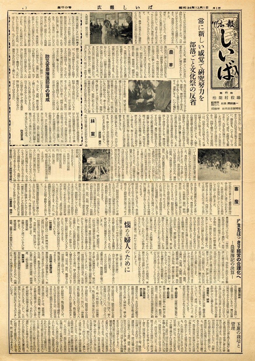 広報 しいば　第59号　1959年12月発行の表紙画像